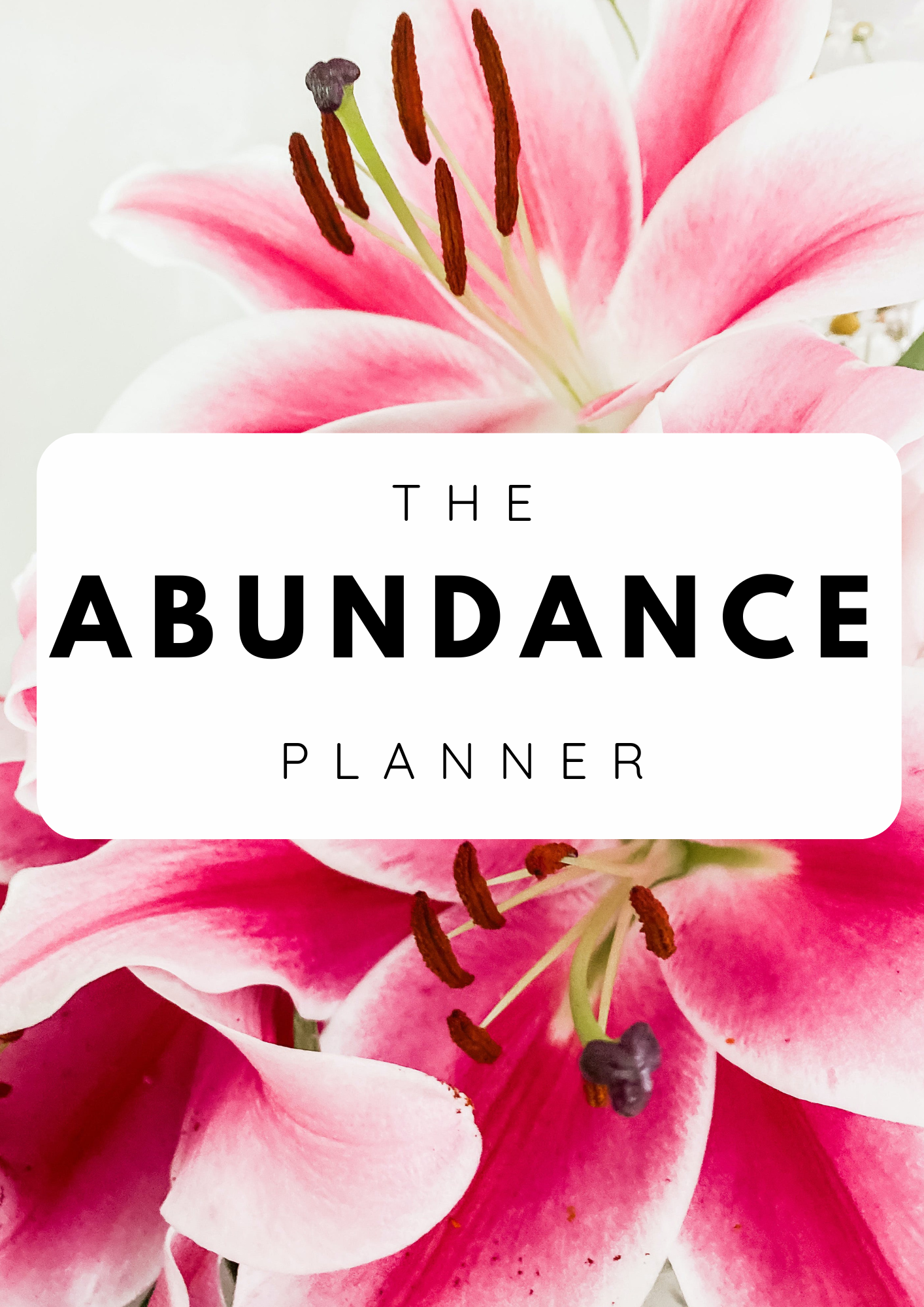 The Abundance Planner