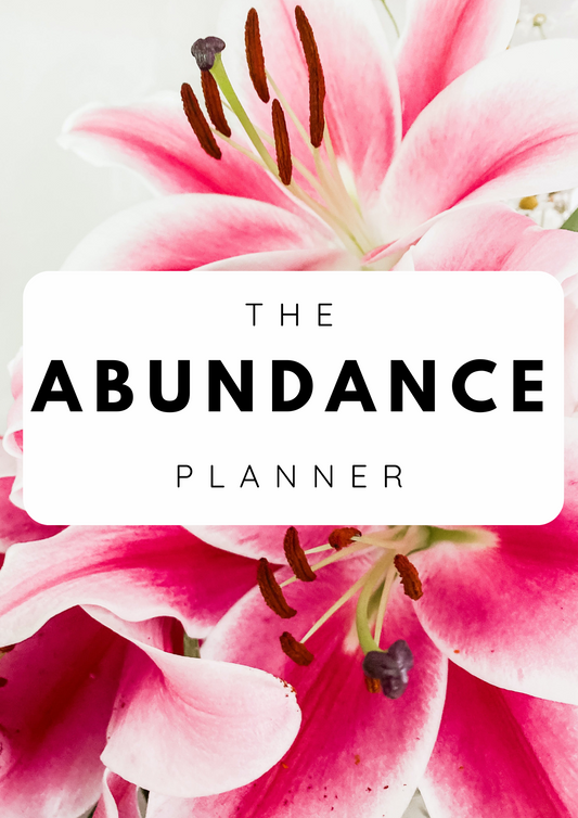 The Abundance Planner